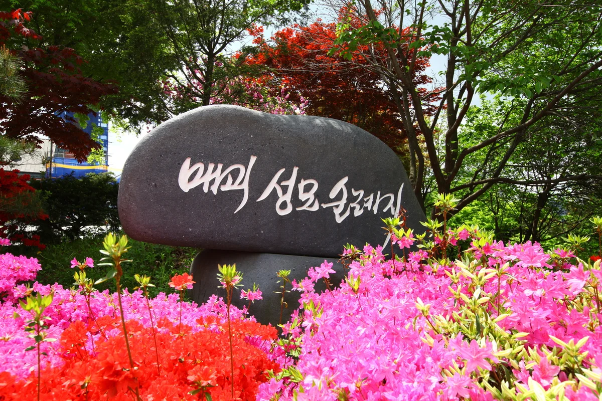 음성 횟집 찾아 떠나는 2026년 5월 미식 여행, 놓칠 수 없는 명소 5곳