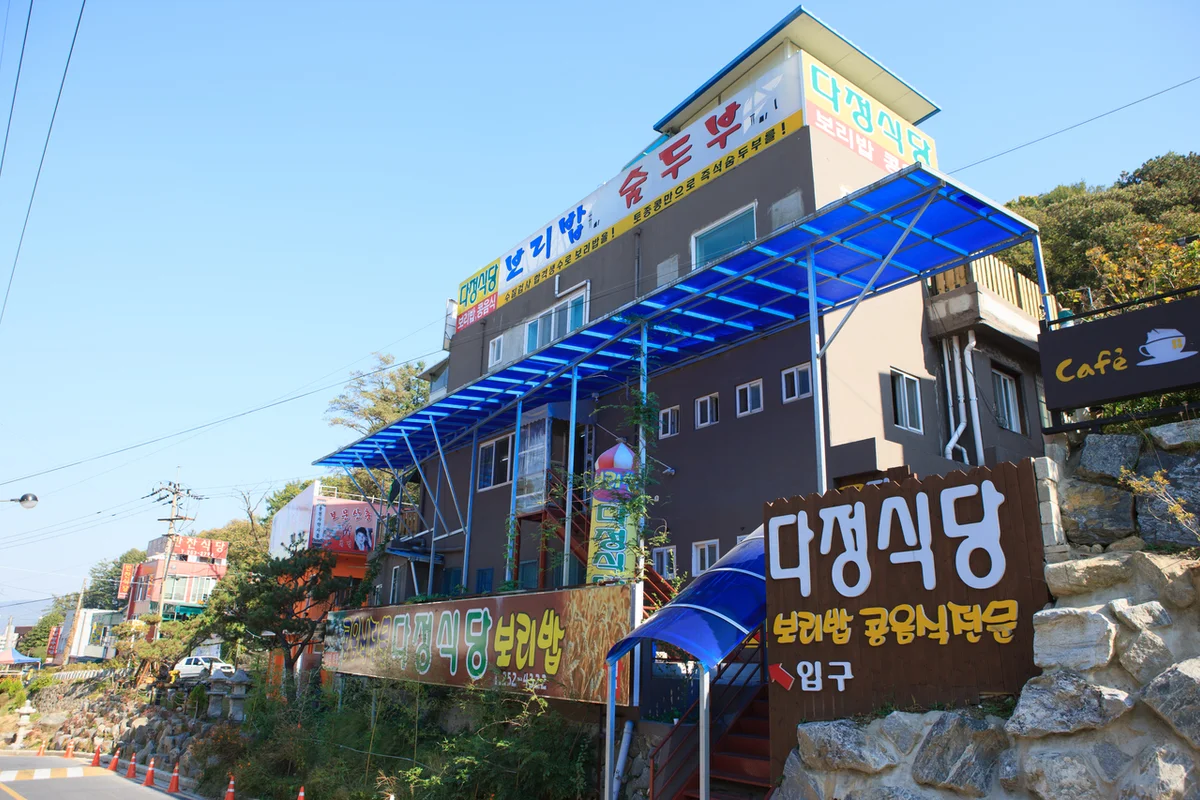 보문산 횟집 후 어디 갈까? 2026년 봄, 대전 보문산 매력적인 명소 5곳