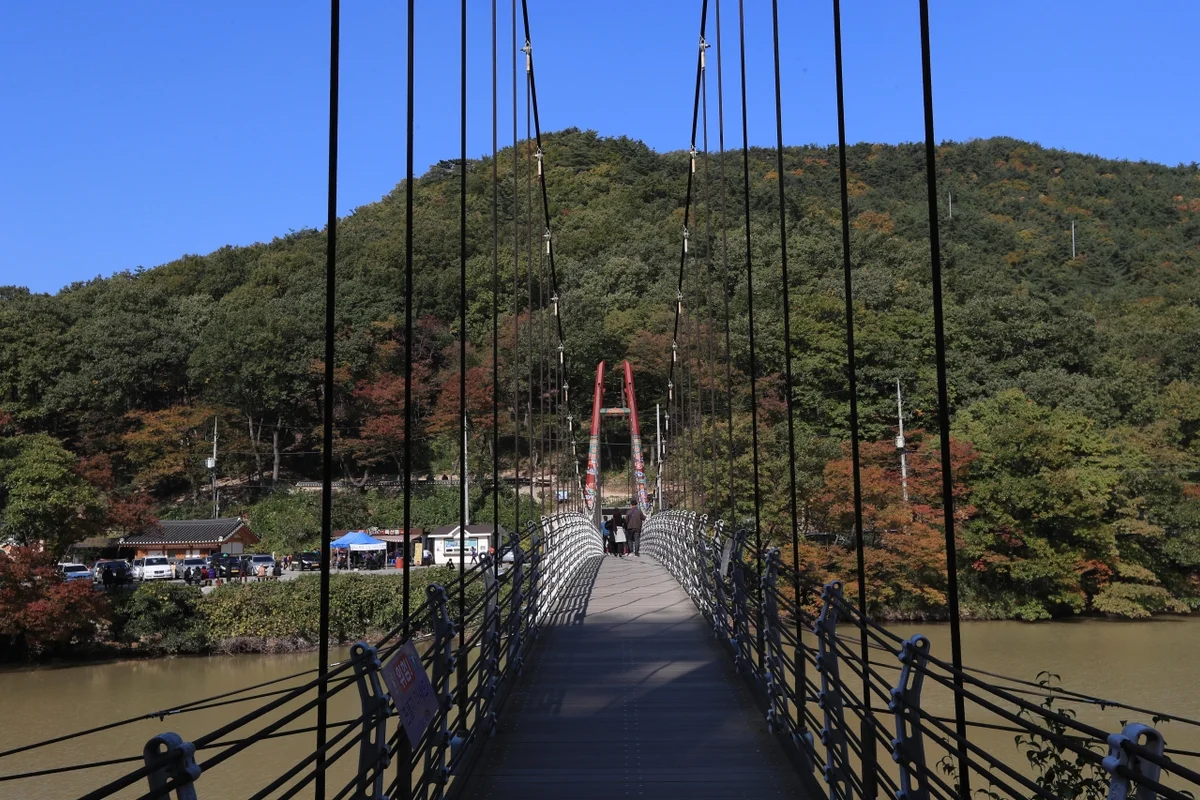 포항 운제산 - 남구등산코스 여행
