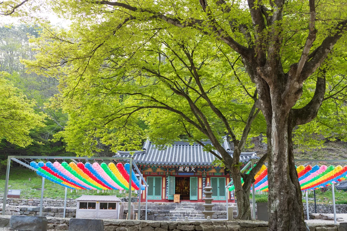 순창발효테마파크 - 순창여행 여행