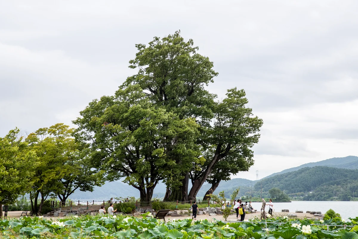 용문산관광단지야외공연장 - 양평공연 여행