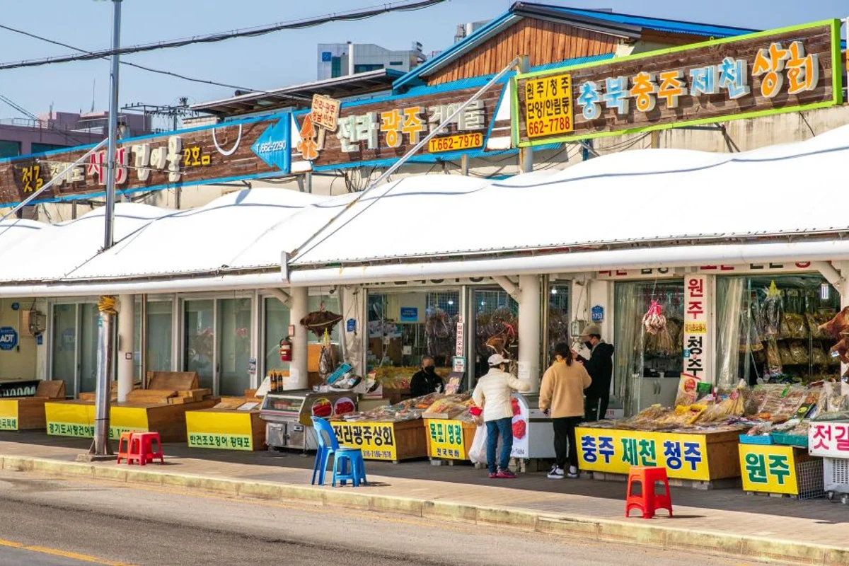 드라마 [도깨비] 촬영지 - 주문진캠핑장 여행