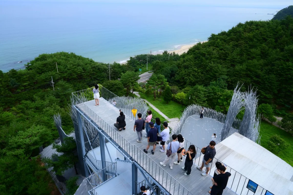 하슬라아트월드 공연: 2026년 강릉 예술 여행, 오감 만족 코스 5곳