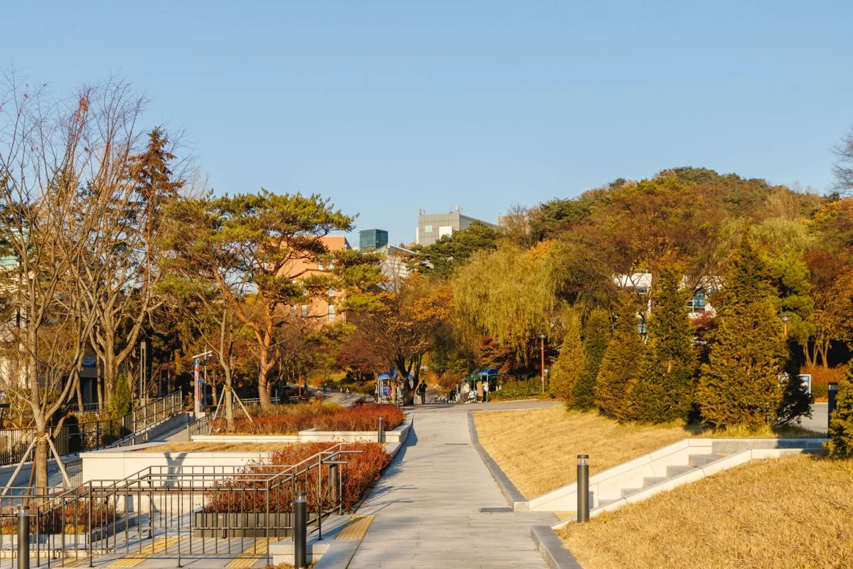 2026년 5월, 관악구 식물원 완벽 가이드 – 싱그러운 초록빛 힐링 명소