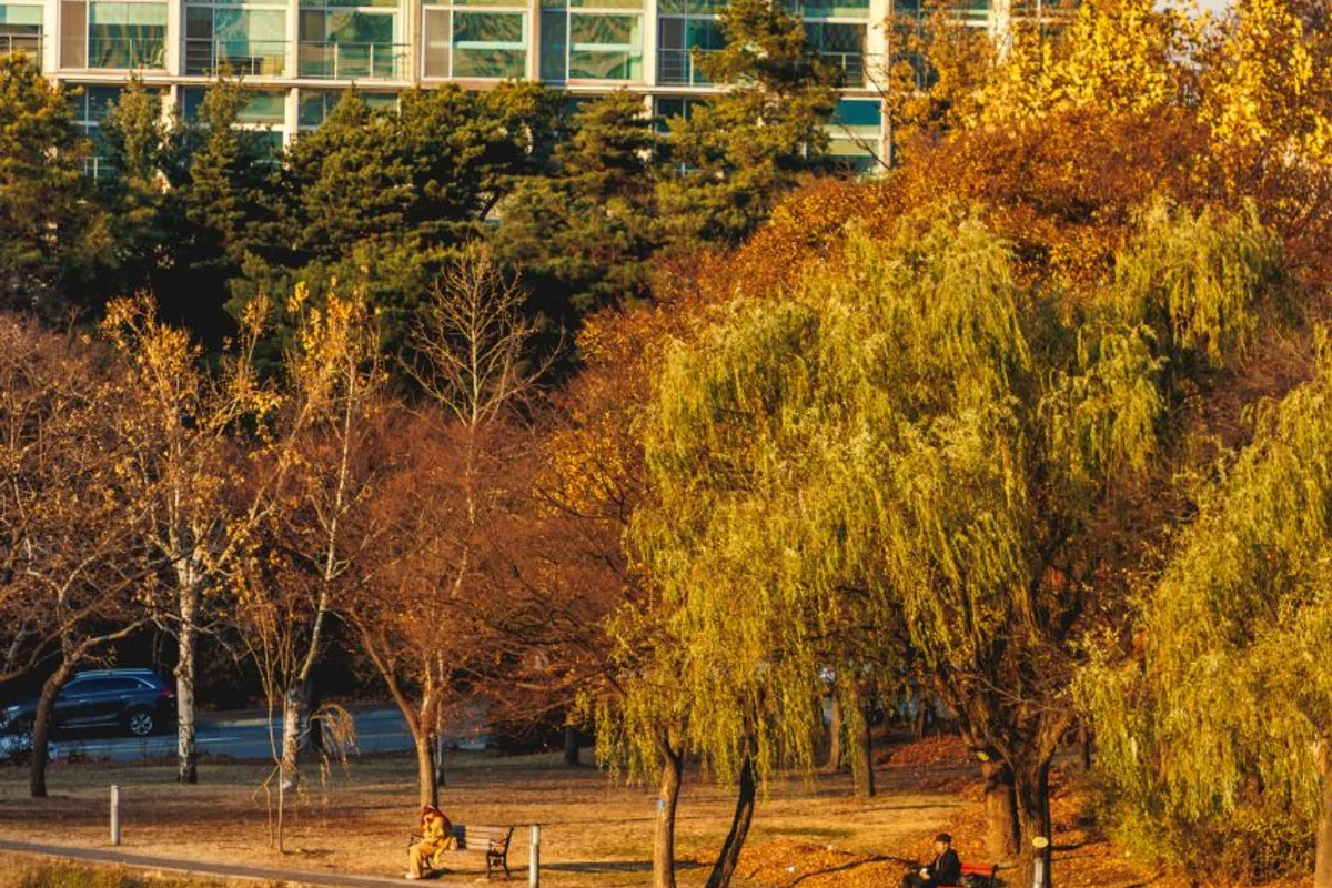 관악산야외식물원 - 관악구 여행