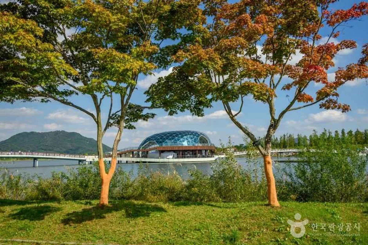 2026 세종호수공원 박물관, 봄에 즐기는 문화 여행 추천 5곳