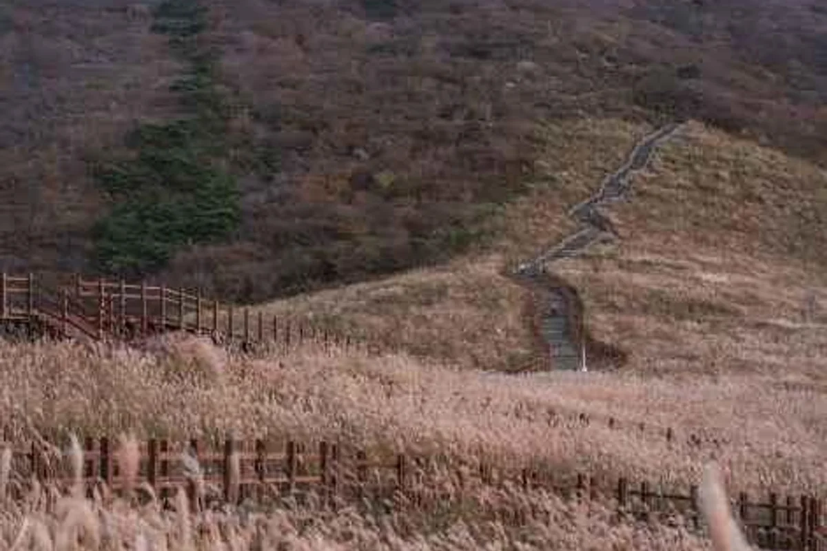 대부해솔길 - 안산산책 여행