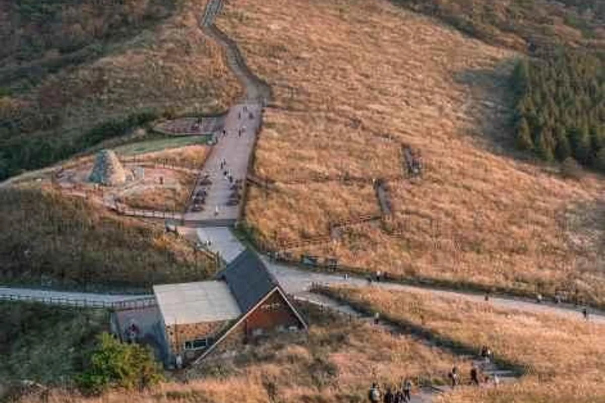 대부바다향기테마파크 - 안산산책 여행