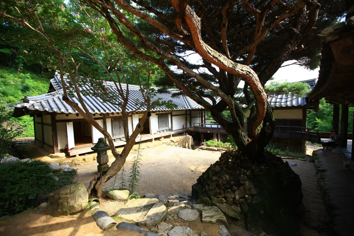 용담사 - 안동여행 여행