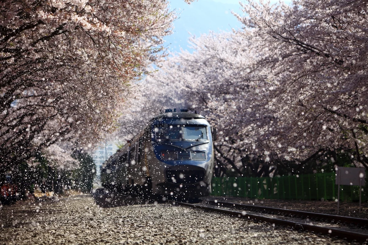 광명역 ktx 2026년 여름, 꼭 가봐야 할 명소 5곳 추천