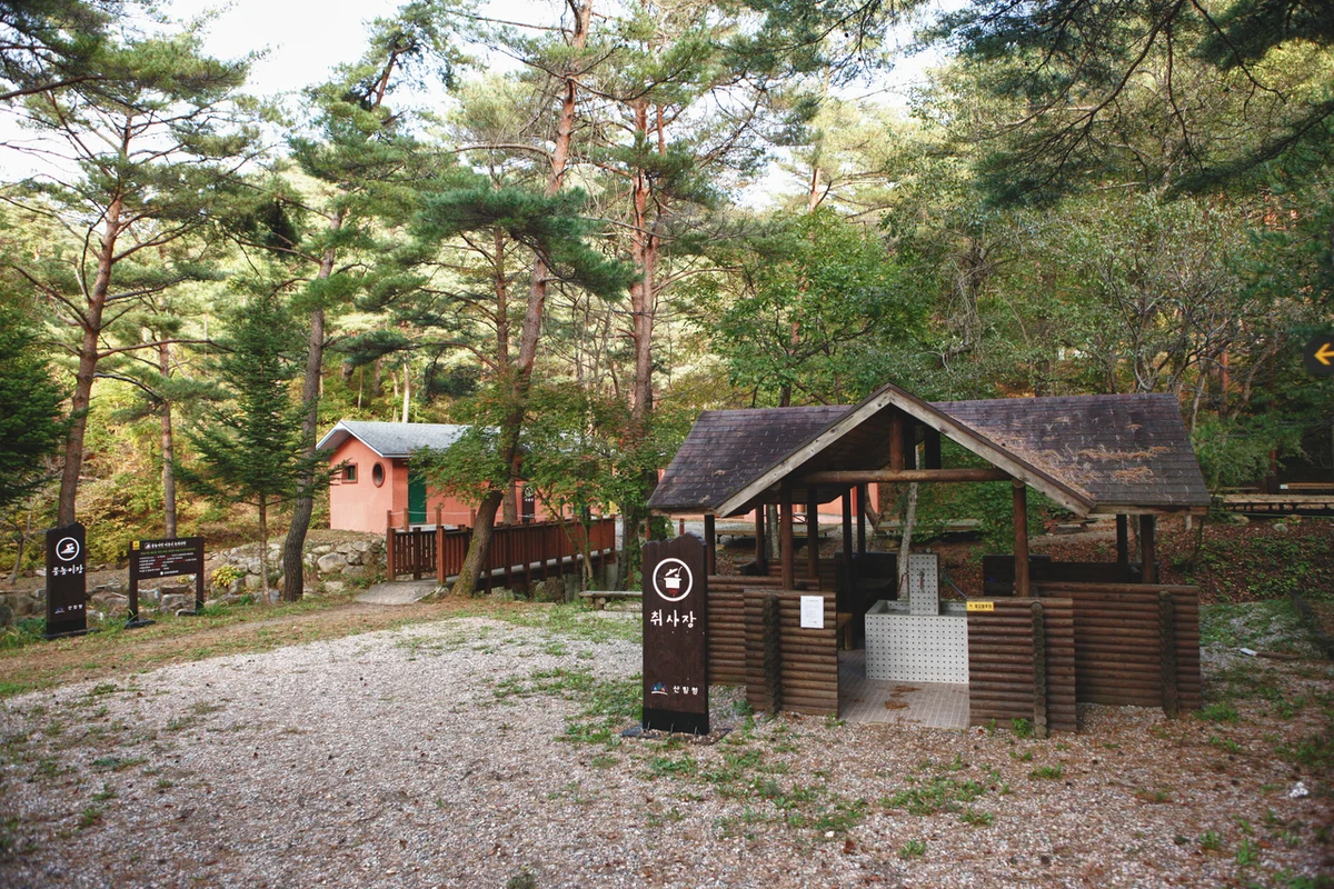 국립검마산자연휴양림: 숲속 힐링 데이트 - 영양 여행