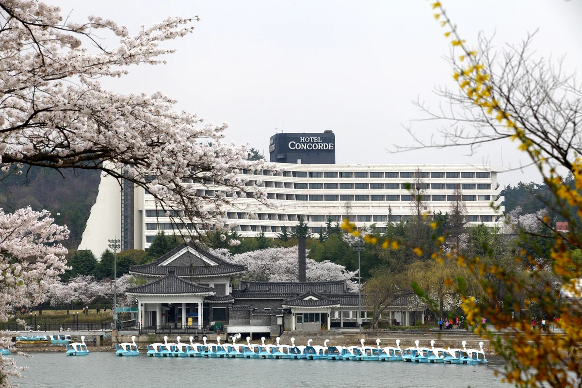 완주힐조타운 - 완주 여행 여행