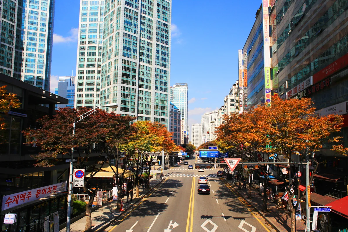 분당중앙공원 - 분당야경 여행