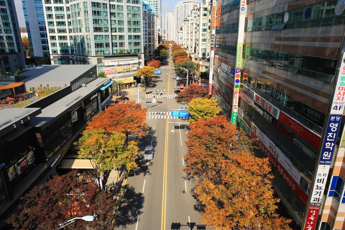 율동공원 - 분당야경 여행