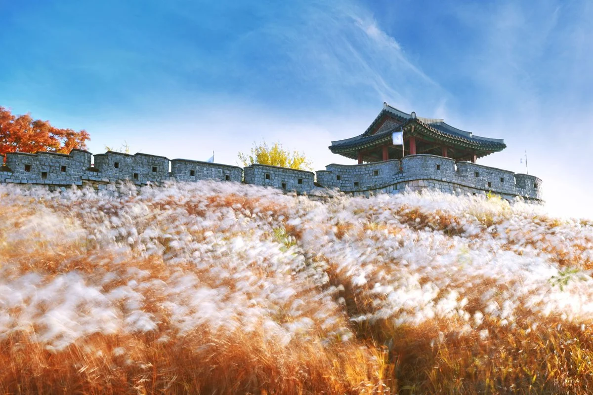 사랑스러운 아기와 함께 수원화성 아기랑 가볼만한곳, 2026년 여름 추천 5곳