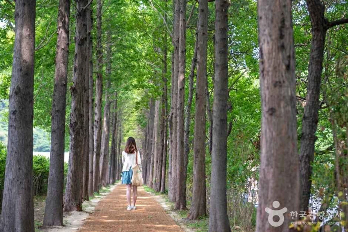 해운대, 다채로운 볼거리의 중심 - 해운대여행 여행
