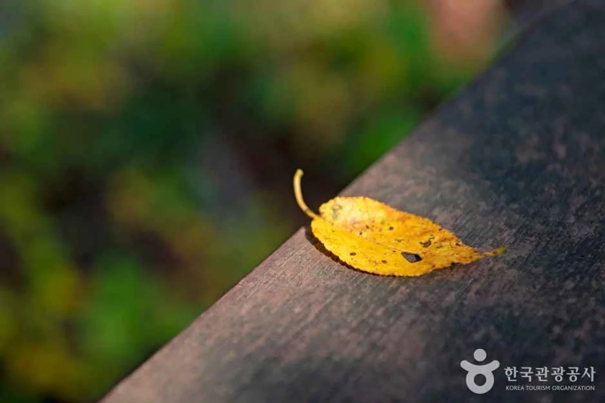 온천천시민공원 - 연제골프 여행