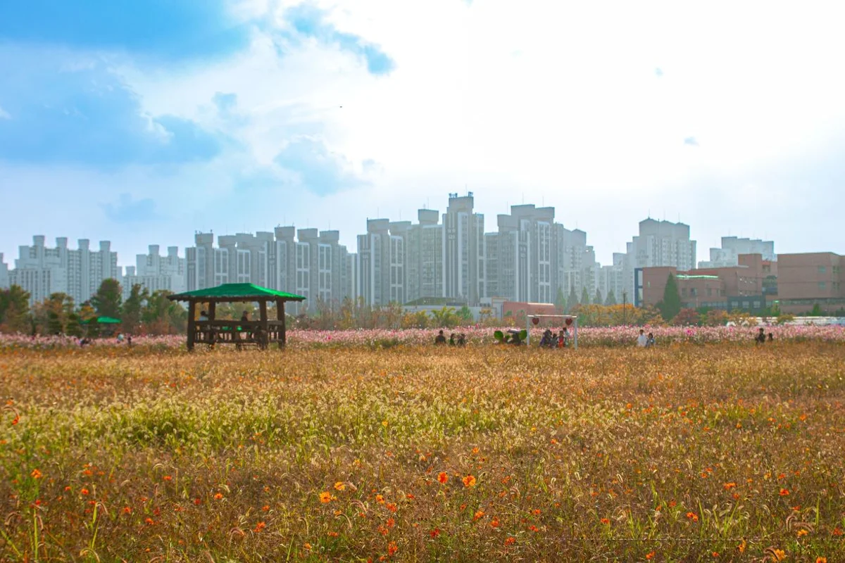 DMZ 펀치볼 둘레길 - 양구트레킹 여행