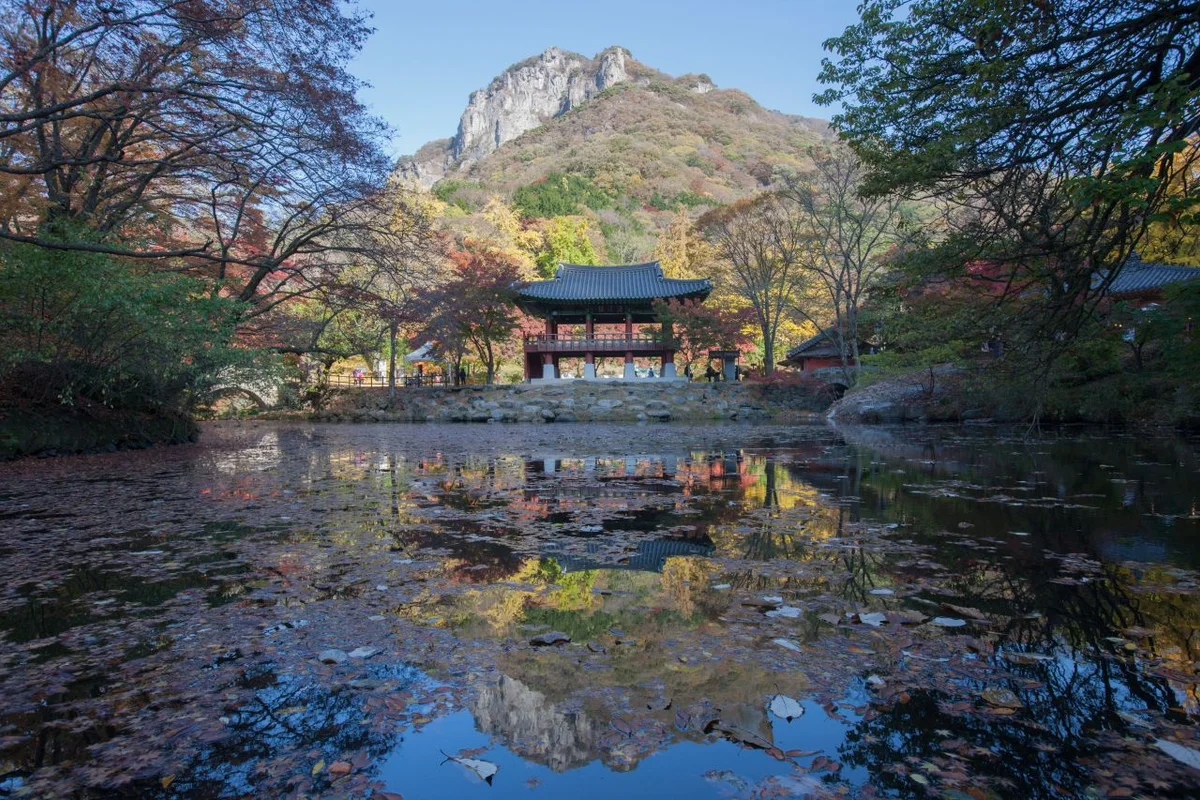 여름밤의 별빛 가득! 장성군 캠핑장 BEST 5, 2026년 완벽 가이드