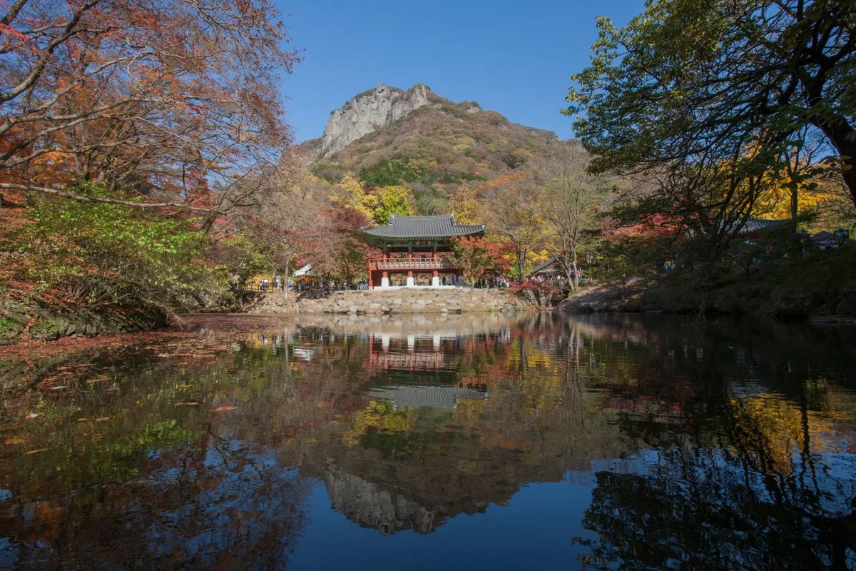 편백힐 치유의 숲 - 장성군 여행
