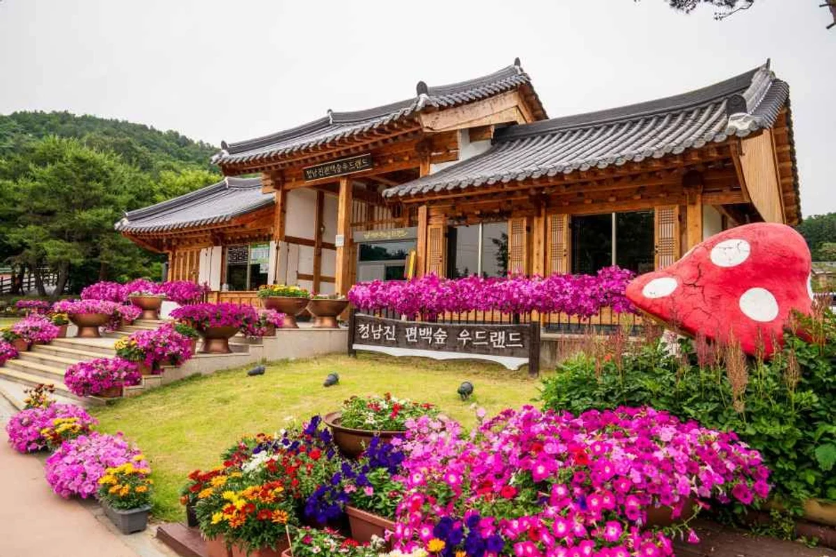 그랜드유원지, 장흥 반려견 동반 계곡 - 장흥 여행