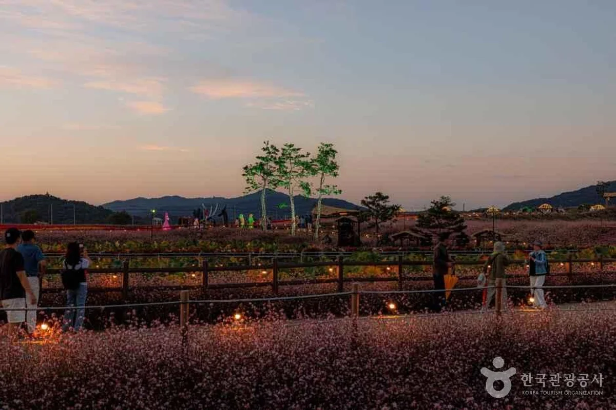 볼락 밤낚시 체험 - 남해여행 여행
