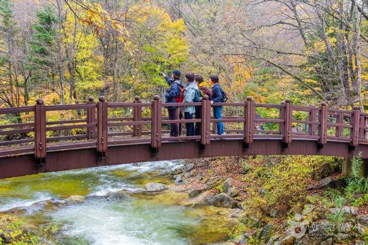 휘닉스 파크 블루캐니언: 평창군 스노클링 - 평창군스노클링 여행