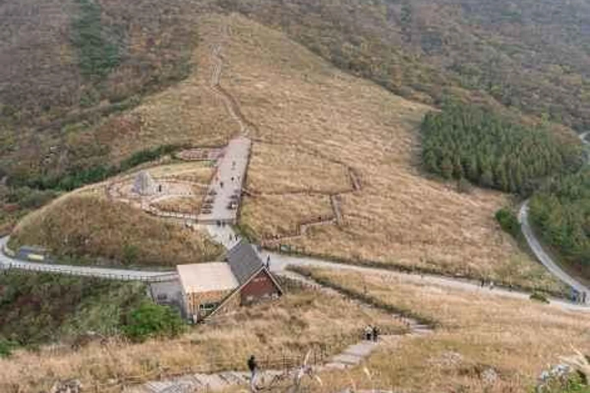 울산 밤바다 야경 BEST 5, 2026 여름 놓칠 수 없는 명소 추천