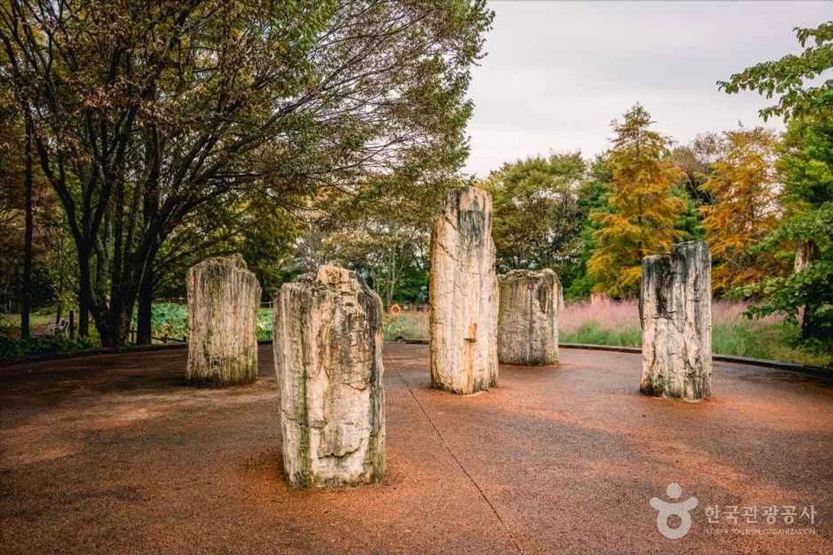 월아산 숲속의 진주, 진주 새로 생긴 곳 대표 명소 - 진주여행 여행