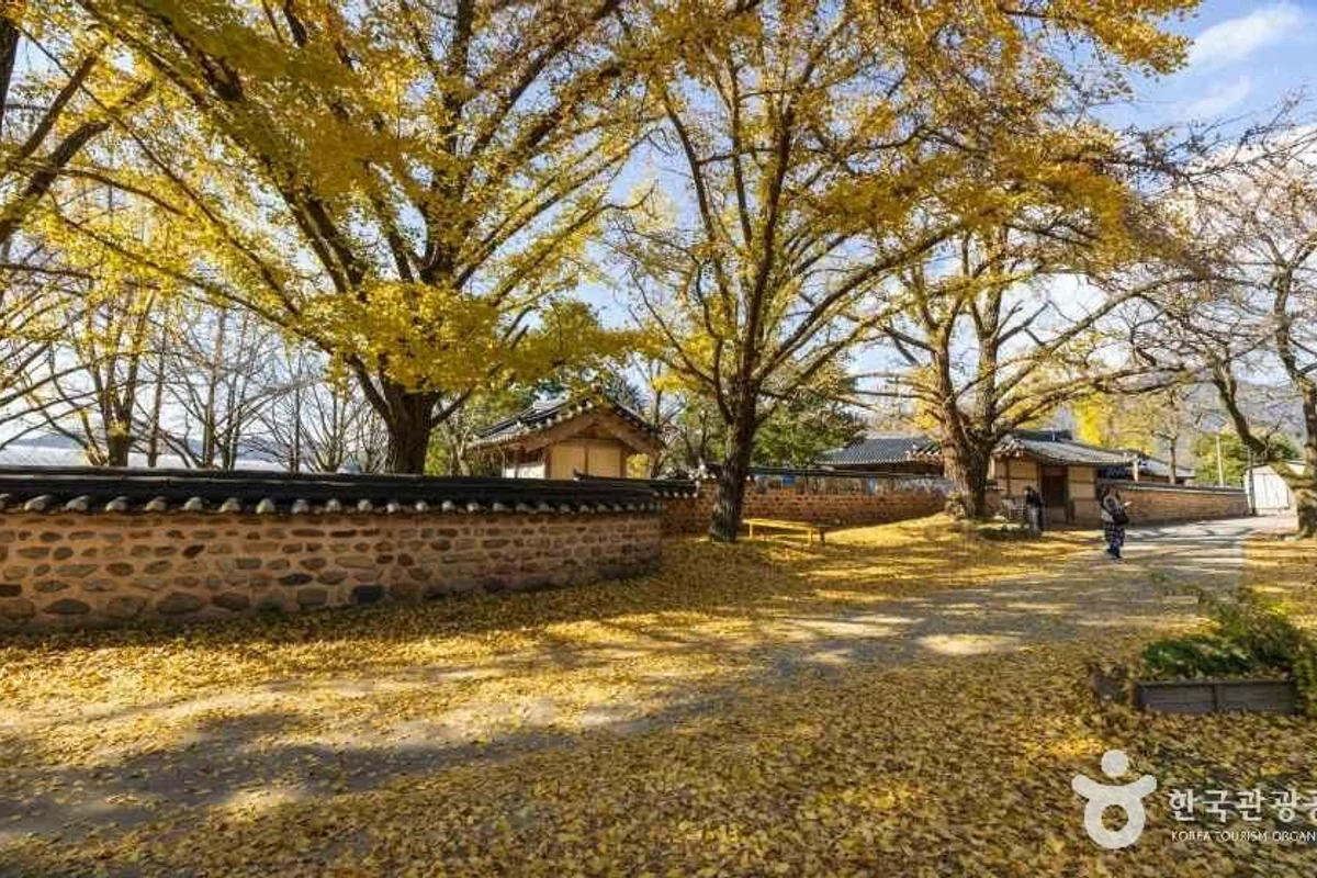 개화예술공원 - 보령여행 여행