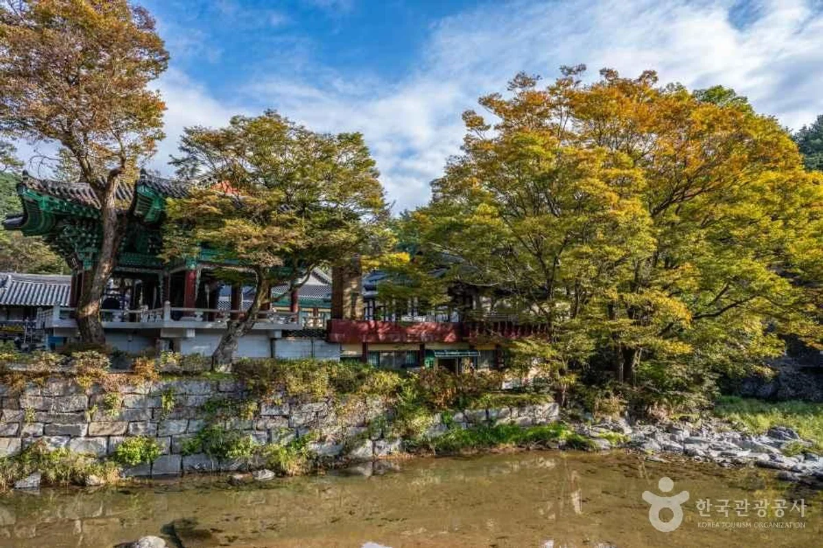 공주무령왕릉과왕릉원 - 공주여행 여행