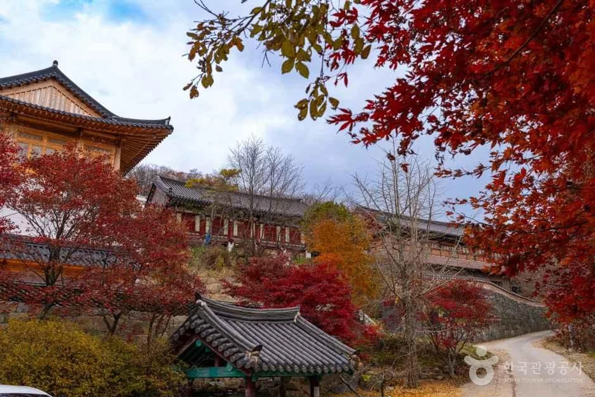 무주 피서지 추천: 2026년 여름, 시원함 가득한 명소 6곳