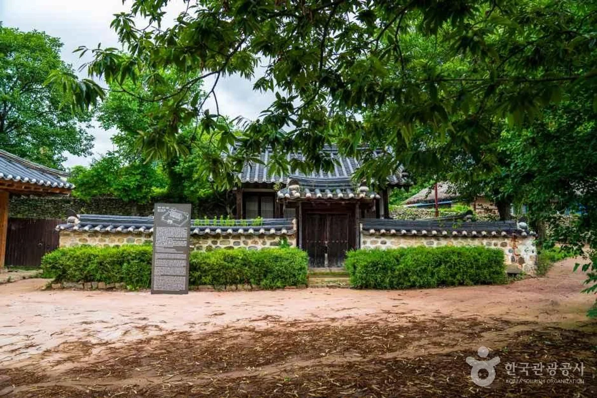 사당 아이와 함께 가볼만한 곳 BEST 5, 2026년 여름방학 맞이 추천